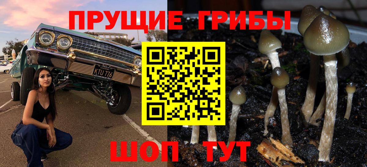 где купить наркотик  Псилоцибиновые грибы Magic Shrooms  Вход с VPN  Альметьевск 