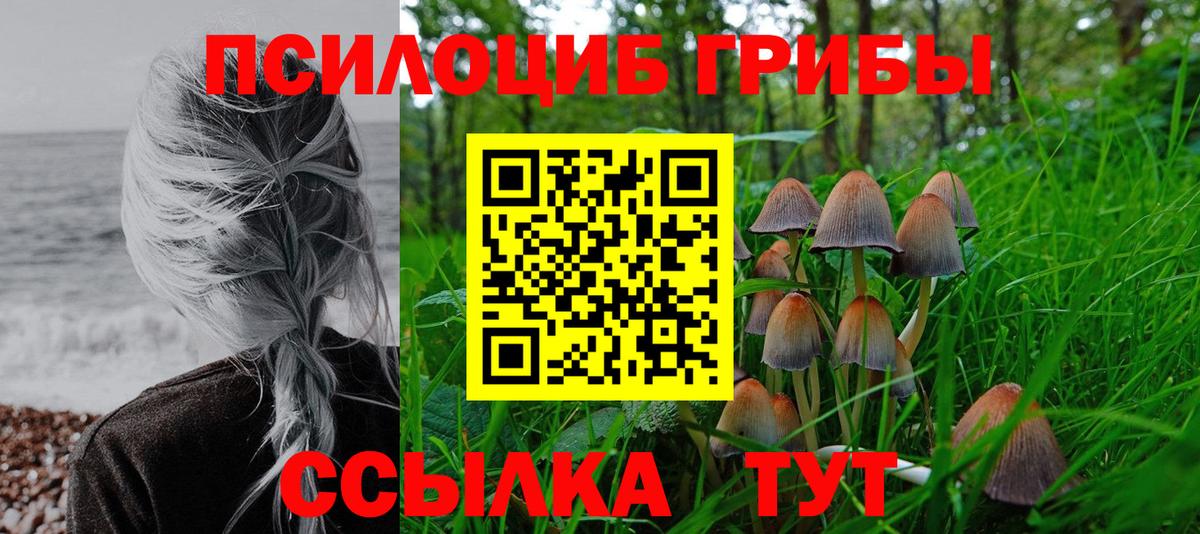 Псилоцибиновые грибы Magic Shrooms  Альметьевск  Галлюциногенные грибы мухоморы 