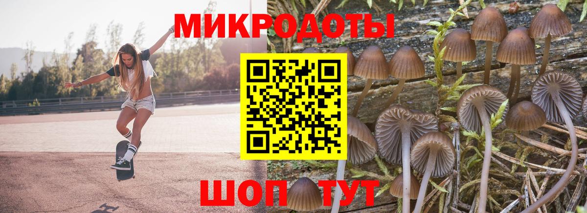 Галлюциногенные грибы Magic Shrooms Альметьевск
