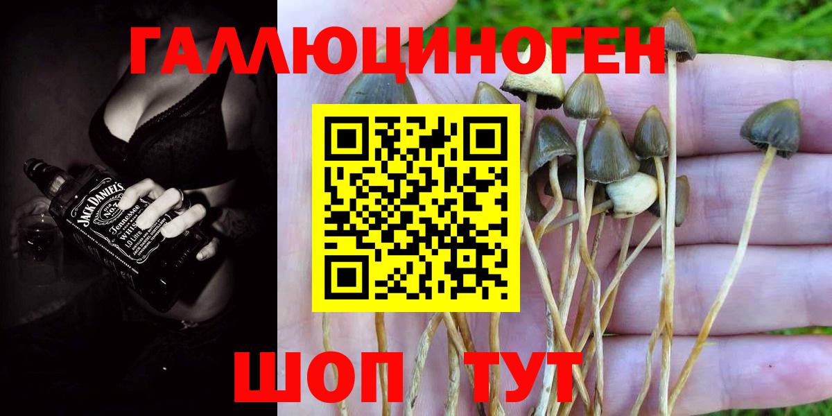 Альметьевск  Псилоцибиновые грибы мицелий  Вход с VPN 